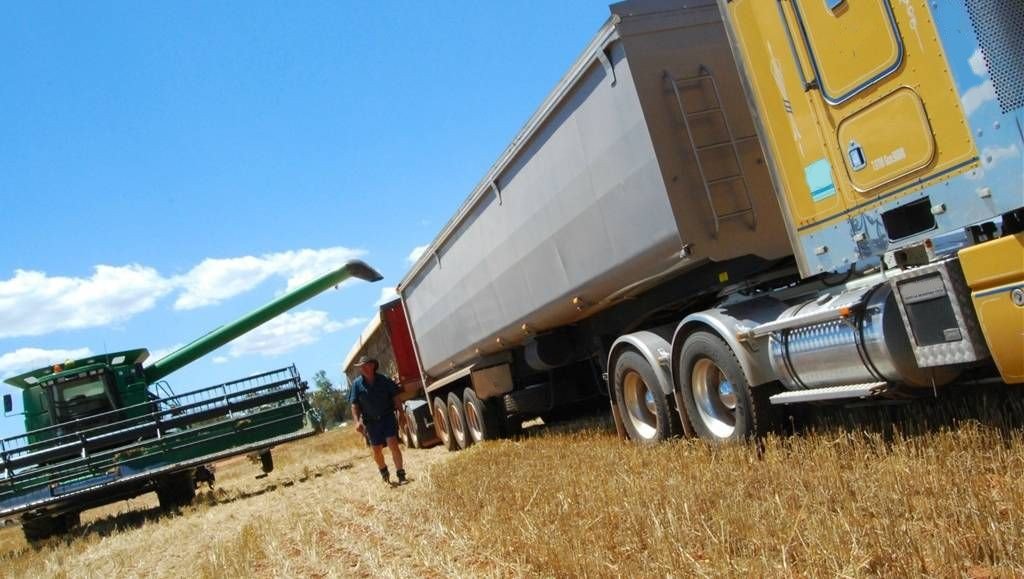 Регионы лишатся льгот на перевозку зерна