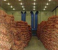 Контроль климата в хранилищах - Картофель и овощи